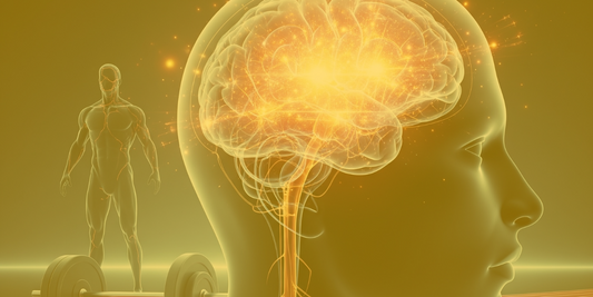 REM-Schlaf & sportliche Leistung – So optimierst du deine Regeneration